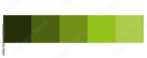 Green color palette. Hue shades illustration. Tonal gradient squares. Vector color swatch.