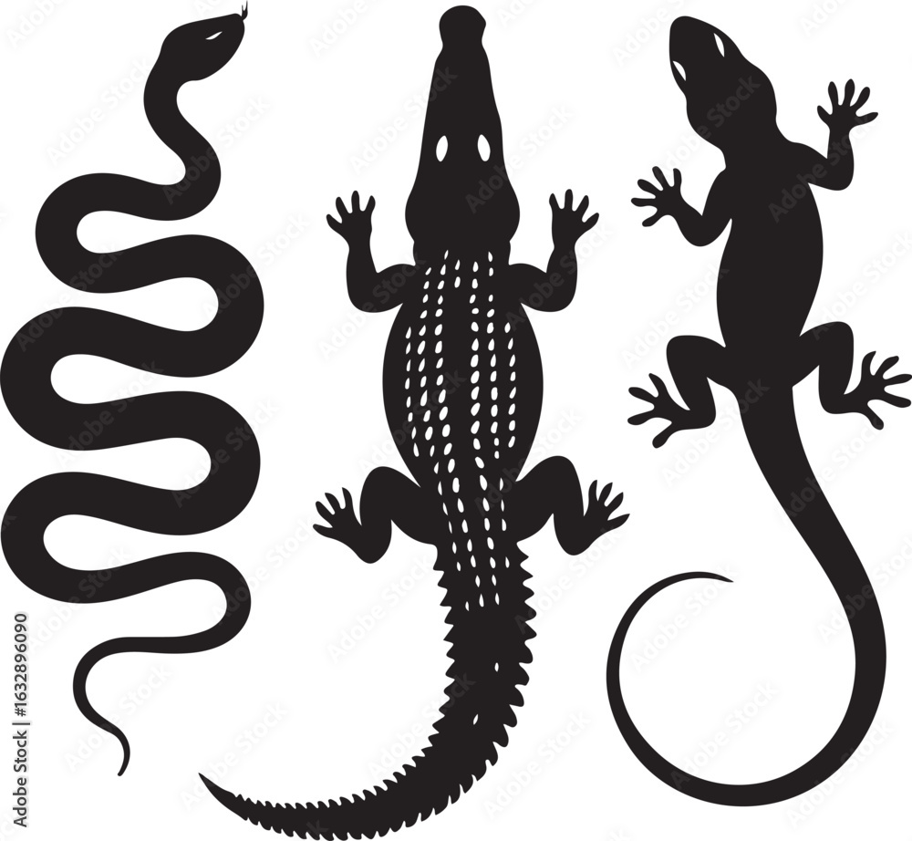 Obraz premium Black silhouette of a coiled snake an alligator and a lizard on a white background reptile animal