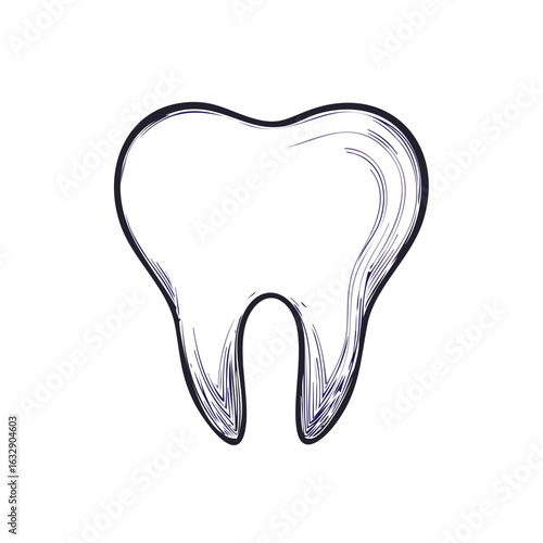 Artistic sketch style single molar tooth representing dental health and wellness designs
