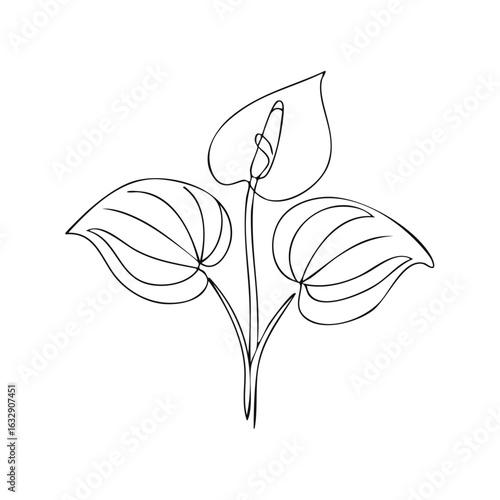 Elegant Anthurium Flower Line Art Single Stroke Continuous Drawing Style