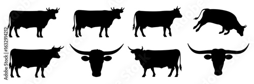 Silhouette of various types of cows and bulls.