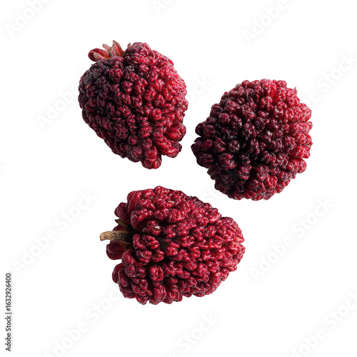 Captivating arrangement featuring three vibrant red mulberries, exhibiting their unique texture, isolated on a clean transparent background.