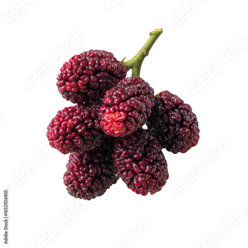 Exquisite close-up showcases the juicy cluster of ripe mulberries with stem, isolated for design possibilities on transparent background.