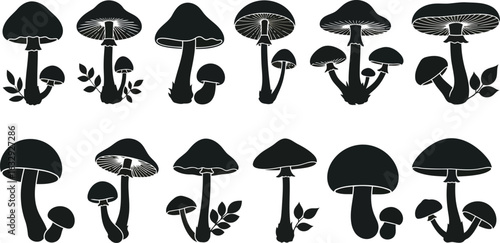 Vector art of collection of mushroom illustrations isolated on white background