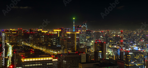 Tokyo Skyline at Night Panoramic