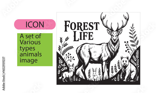 A set of animal line art image.