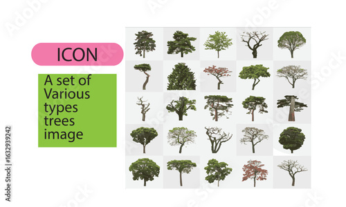 A set of animal line art image.