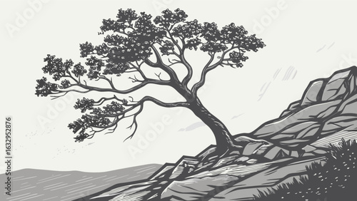 Illustration of a windswept tree on a rocky hillside landscape with branches and leaves in black and white art