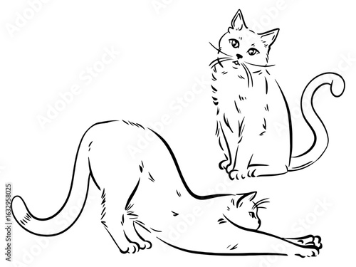 cool illustration. Cat sticker. Best animal.