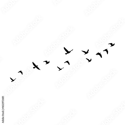 Birds in Flight: A flock of birds gracefully soaring through the sky, silhouettes against the backdrop of a clear atmosphere, embodies the essence of freedom and adventure.