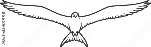 Symmetrical black line art of a soaring falcon, a powerful symbol of freedom and vision, isolated on a white background.