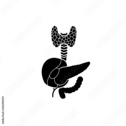A black silhouette illustration of human endocrine organs, including the thyroid gland, pancreas, and duodenum.