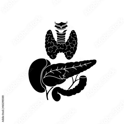 A black silhouette illustration of human endocrine organs, including the thyroid gland, pancreas, spleen, and duodenum.