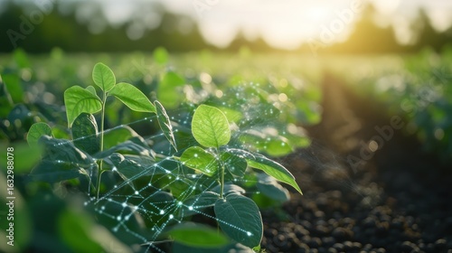 Precision agriculture: Technology integration in soybean cultivation for smart farming