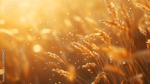 Grass Seeds in the Wind