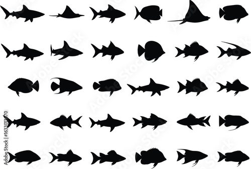 Collection of diverse silhouette marine life featuring various tropical fish sharks and rays on white background