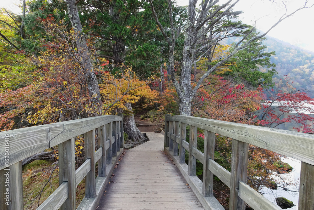 Fototapeta premium 日本:湯ノ湖(火山の噴火でせき止められた湖)/栃木県日光市・10月