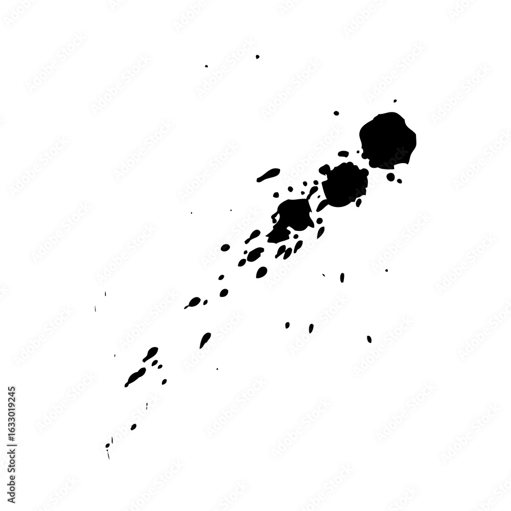 Fototapeta premium paint splash silhouette isolated on transparent background 