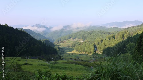 朝の四谷千枚田の景色
