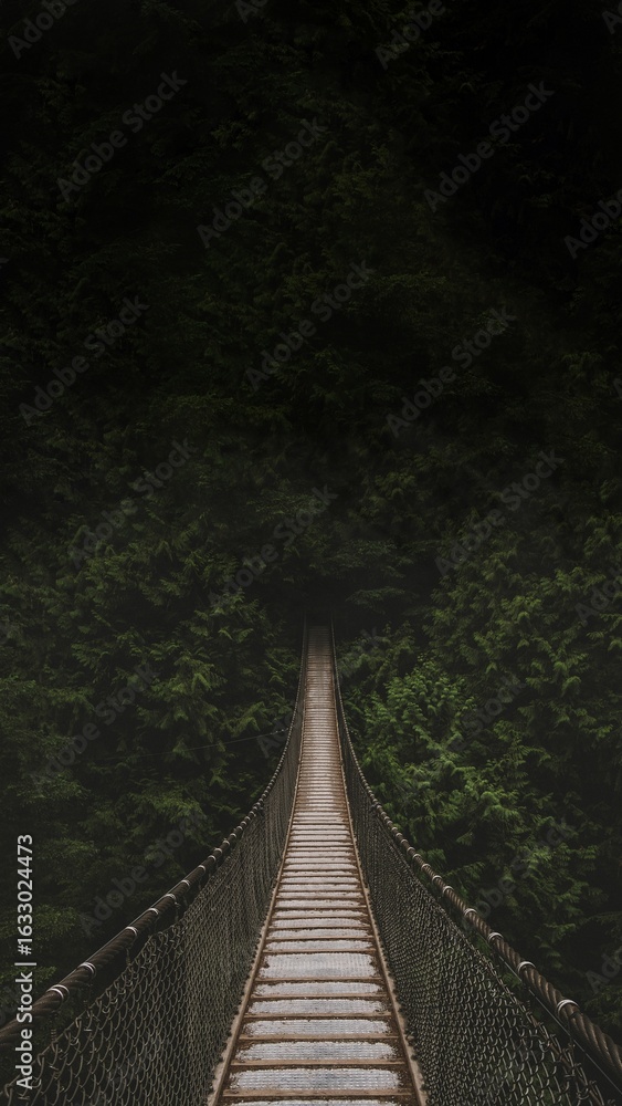 Obraz premium Forest hanging bridge iPhone wallpaper, nature travel image