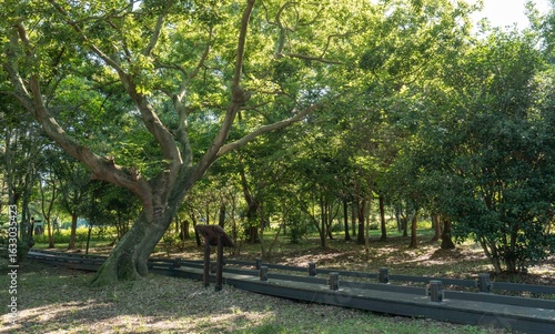 나주 산림자원연구소의 푸른 숲