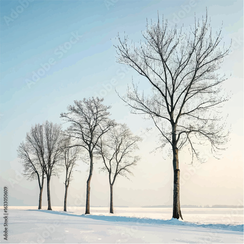 Winter Landscape with Bare Trees in Snowy Field