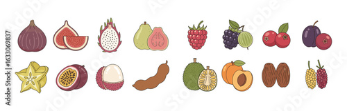 Tropical and Exotic Fruits Vector Set