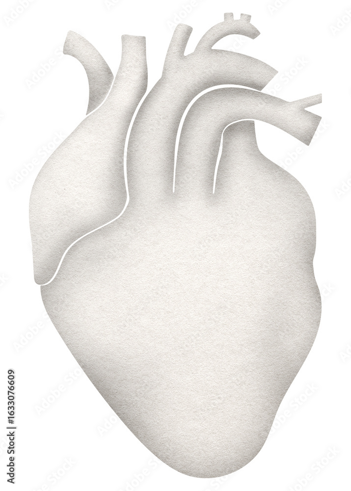 Obraz premium Human heart png sticker, white paper collage, transparent background
