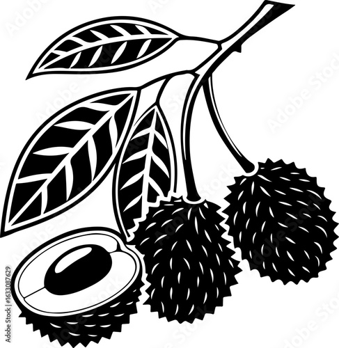 Exotic rambutan fruit on a branch