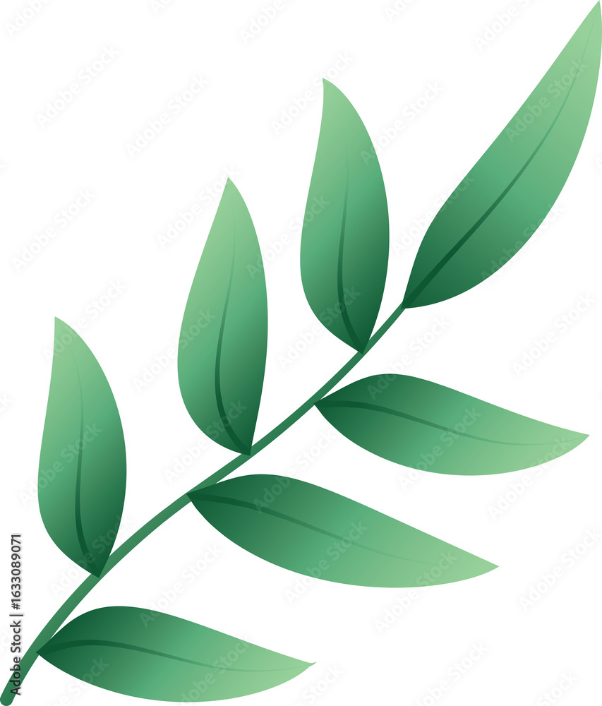 Fototapeta premium vector illustration of a stem of multiple unique green leaves