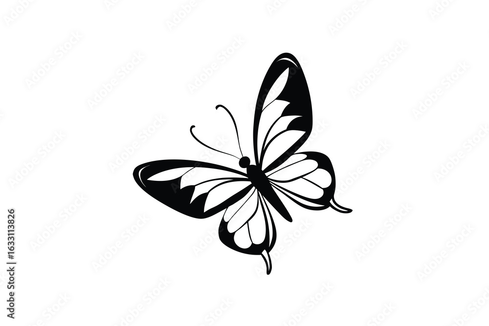 Fototapeta premium A delicate black and white sketch of a butterfly with intricate wing patterns rendered in a classic silhouette style perfect for artistic and natural themes