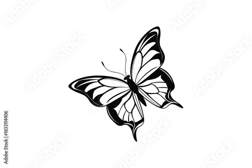 Elegant black and white butterfly illustration with intricate wing details presented as a striking silhouette on a clean white background perfect for design projects silhouette