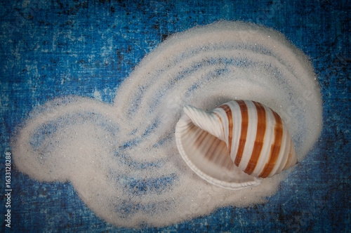 sand and seashell abstract.