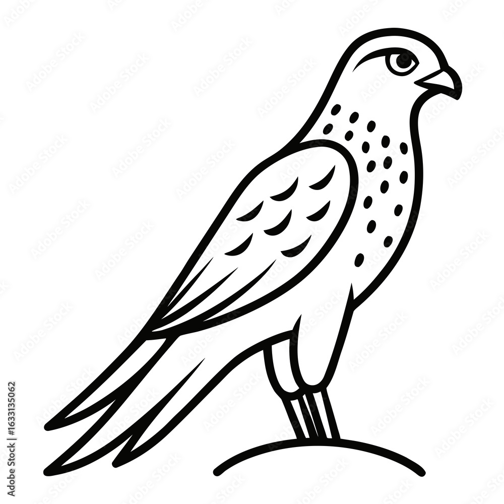 Fototapeta premium vector illustration of a bird
