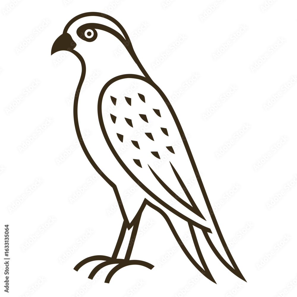 Fototapeta premium vector illustration of a bird