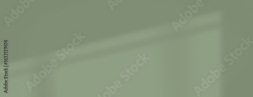 Muted green shadow background with a soft, blurred texture. The background features a subtle gradient. Green background with a calm, serene feel. Minimal soft shadow background vector