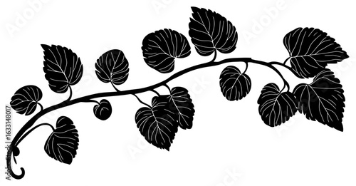 Kiwi vine silhouette border decoration