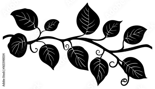 Kiwi vine silhouette border decoration