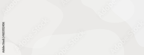 Abstract background with soft white and light gray colors. The background features smooth, flowing shapes for a gentle, airy texture. Digital background vector. Gray background.