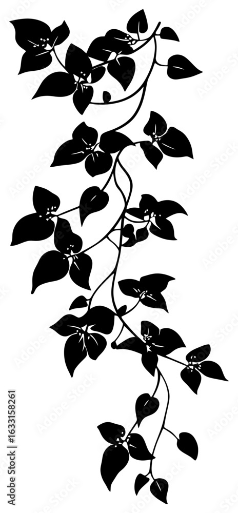 Fototapeta premium Bougainvillea vine silhouette border decoration