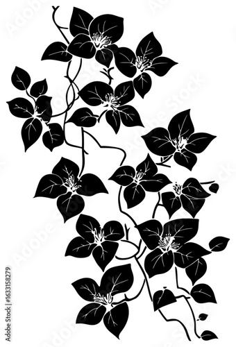 Bougainvillea vine silhouette border decoration