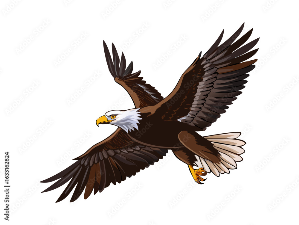 Fototapeta premium A bald eagle flying in sky in wild. Vector illustration art drawing. 