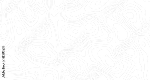 abstract wavy background topographic contour background, Grey topographic lines. Texture of lines. pattern shape in organic wood on white and transparent background.