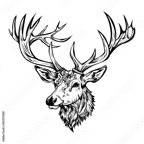 Graphic line art illustration of a majestic deer head with large detailed antlers and an ornamental forehead piece.