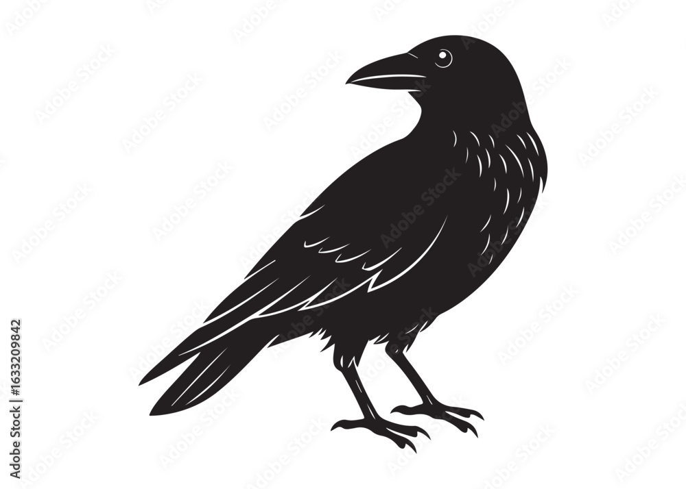 Fototapeta premium Black Crow Silhouette Vector Illustration of Perched Bird in Profile.