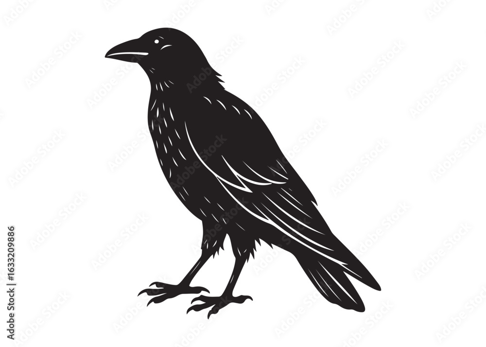 Naklejka premium Black Crow Silhouette Vector Illustration of Perched Bird in Profile.