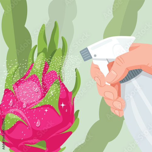 Spraying Dragon Fruit Plant with Water for Healthy Growth Illustration
