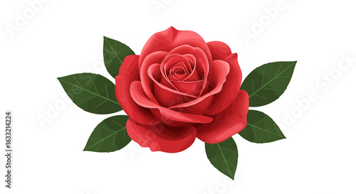 A vibrant red rose in full bloom, beautifully detailed with green leaves. This is a classic romantic floral illustration isolated on a white background.