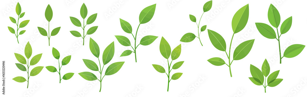 Obraz premium Collection of various green leaves and sprigs, illustrating different shapes and sizes of foliage.