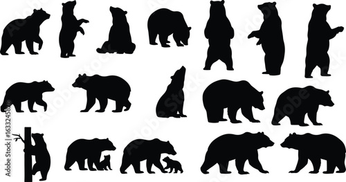 bear silhouette
